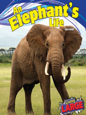 cover image of An Elephant's Life